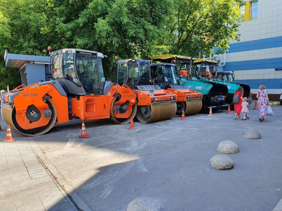 Стоят, ждут ночи. Фото автора.