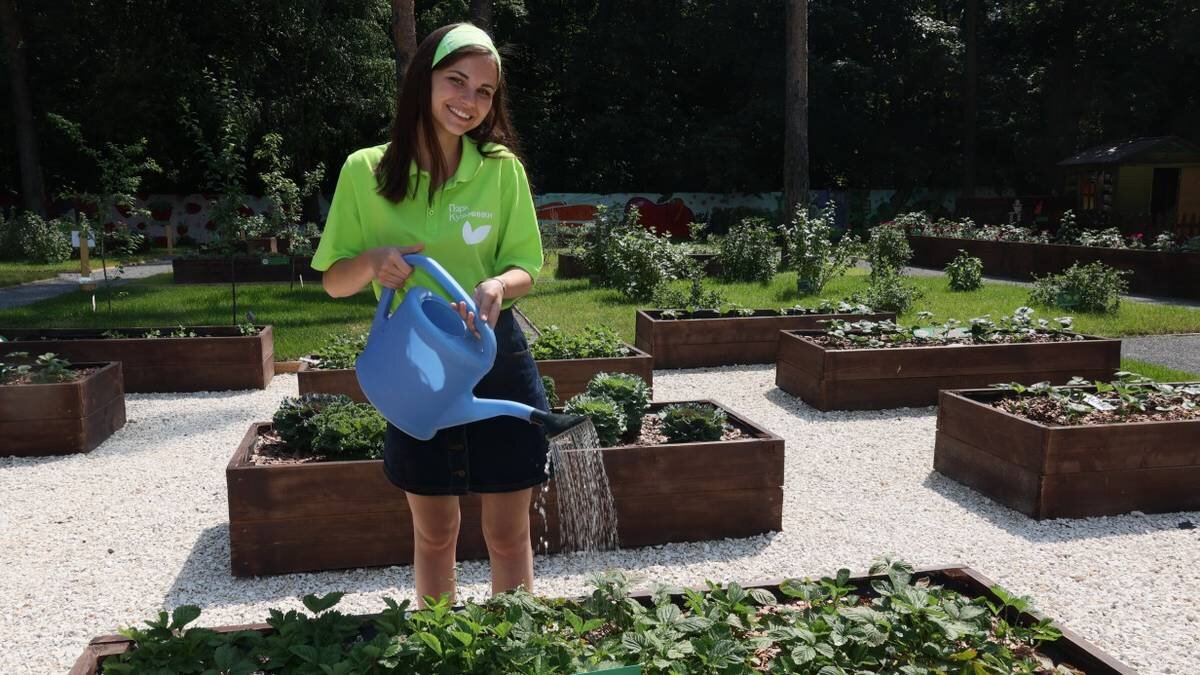    Экскурсовод Анна Дубенкова поливает грядку с земляникой в новом огороде, который открылся в парке «Кузьминки» / Фото: Сергей Шахиджанян / Вечерняя Москва