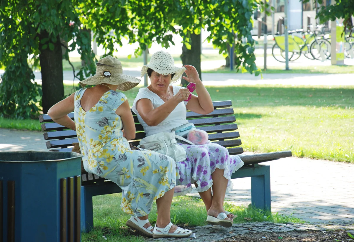 Фото из открытого источника Яндекс Картинки