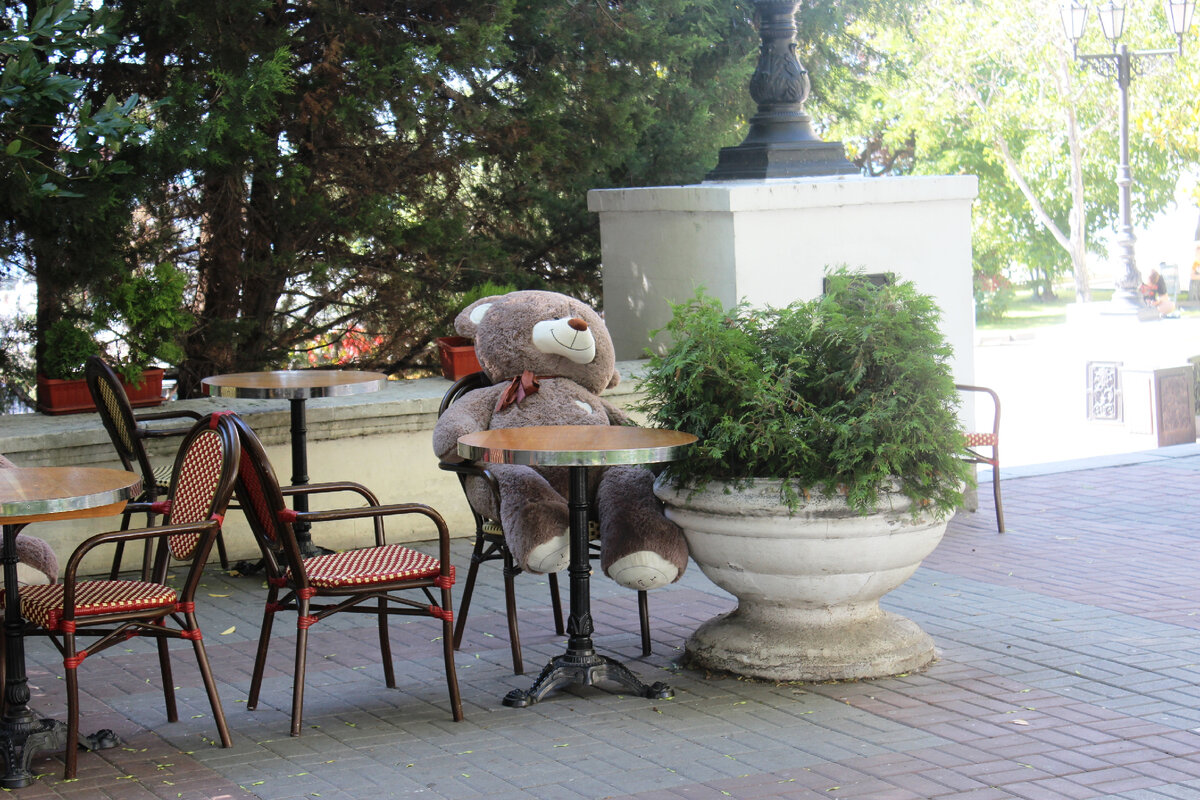 Мягкий улыбающийся друг.... фото автора 