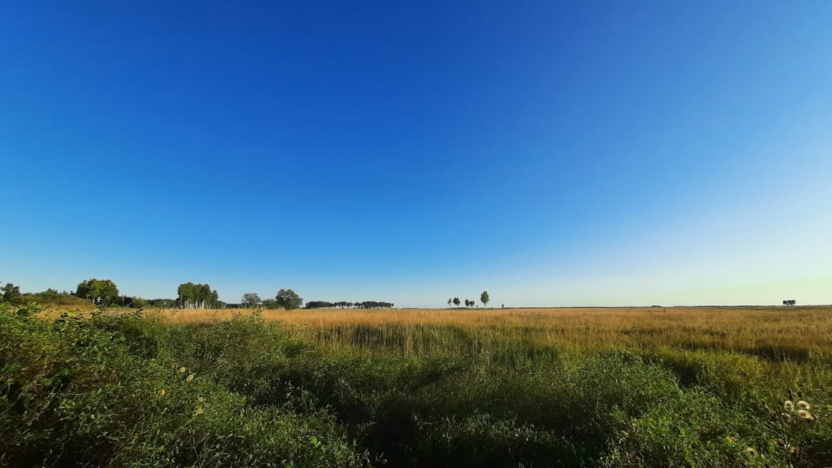 Вот так в любую сторону