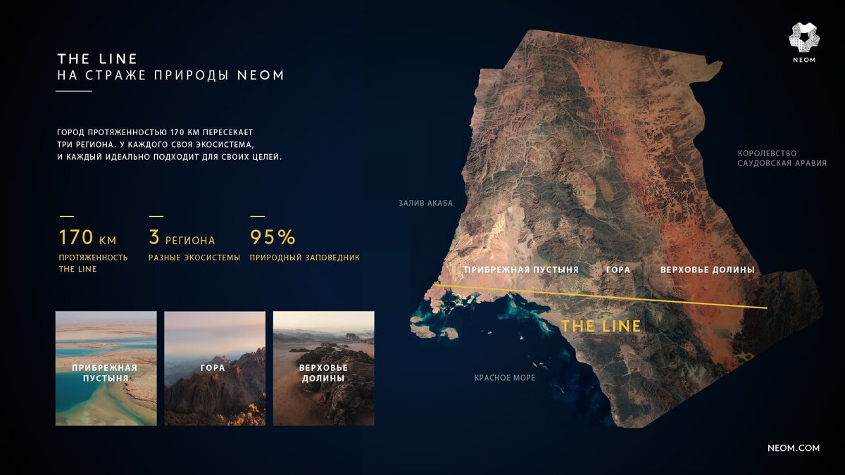 Фото с сайта neom.com