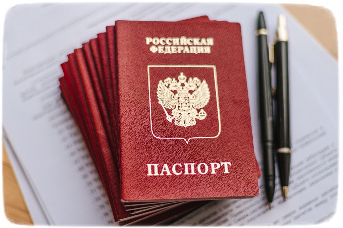 Papers, Please — Википедия