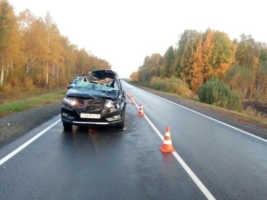     ФОТО ПРЕСС-СЛУЖБЫ УМВД РОССИИ ПО ОМСКОЙ ОБЛАСТИ