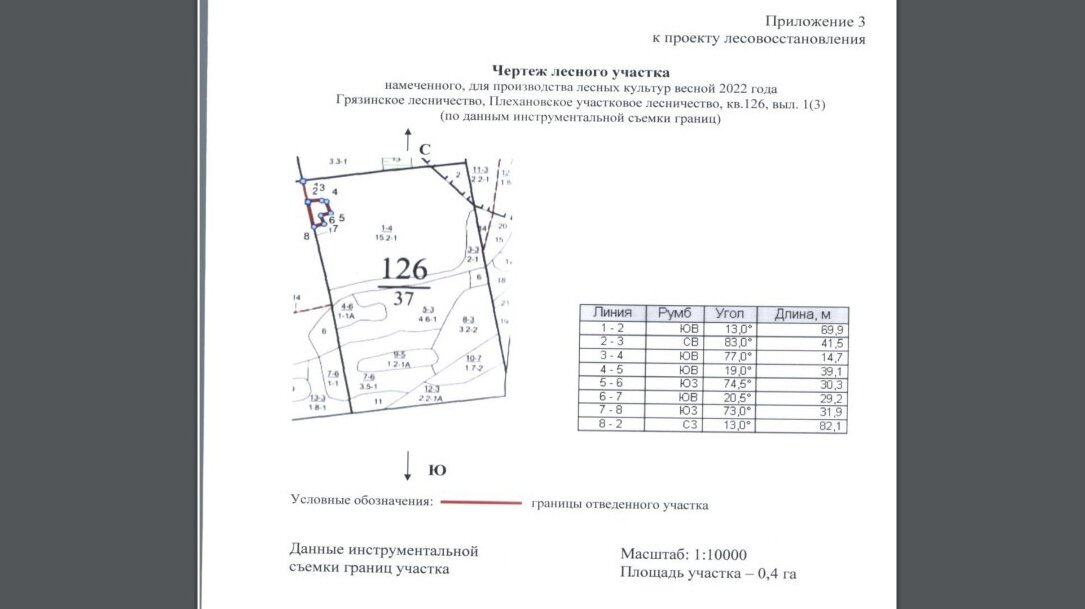 Проект лесовосстановления лесного участка образец