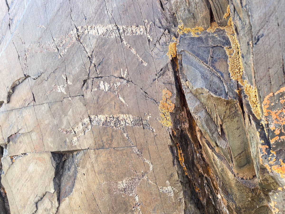 А кого тут увидели вы?