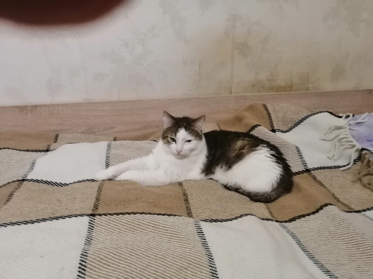 Вы только посмотрите на эту аристократическую позу:)