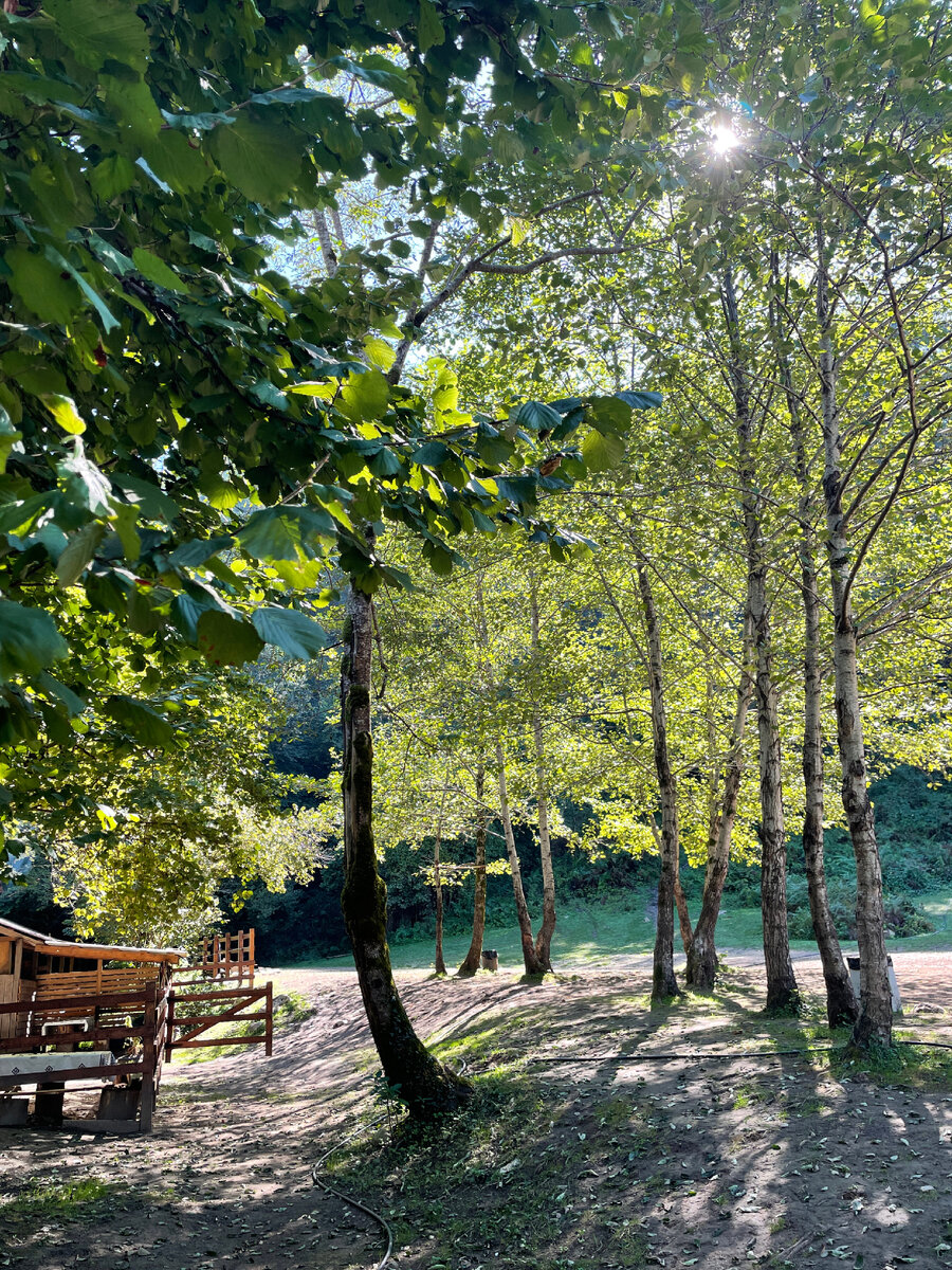 База отдыха 