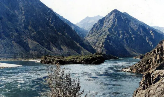 Из открытых источников (https://ok.ru/profile/594140950324)