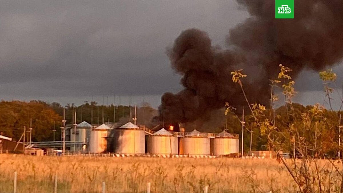    Фото: vvgladkov / telegram