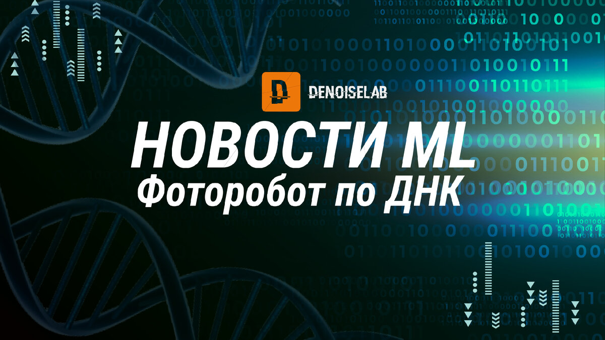 Фото: DenoiseLAB