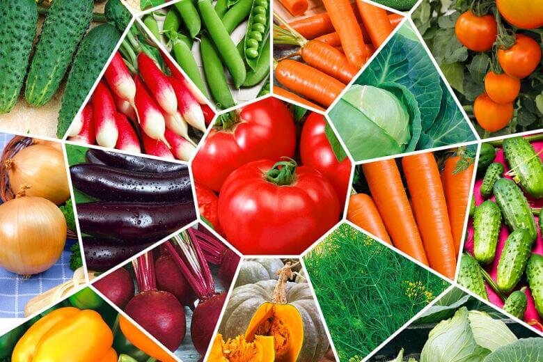 НА СЕГОДНЯШНИЙ ДЕНЬ МАГАЗИНЫ ПРОСТО ПЕРЕПОЛНЕНЫ РАЗНООБРАЗНЫМИ СЕМЕНАМИ. ВЫБРАТЬ ИЗ НИХ ХОРОШИЕ И КАЧЕСТВЕННЫЕ ДОСТАТОЧНО СЛОЖНО. КАК ЖЕ СДЕЛАТЬ ЭТО ПРАВИЛЬНО?