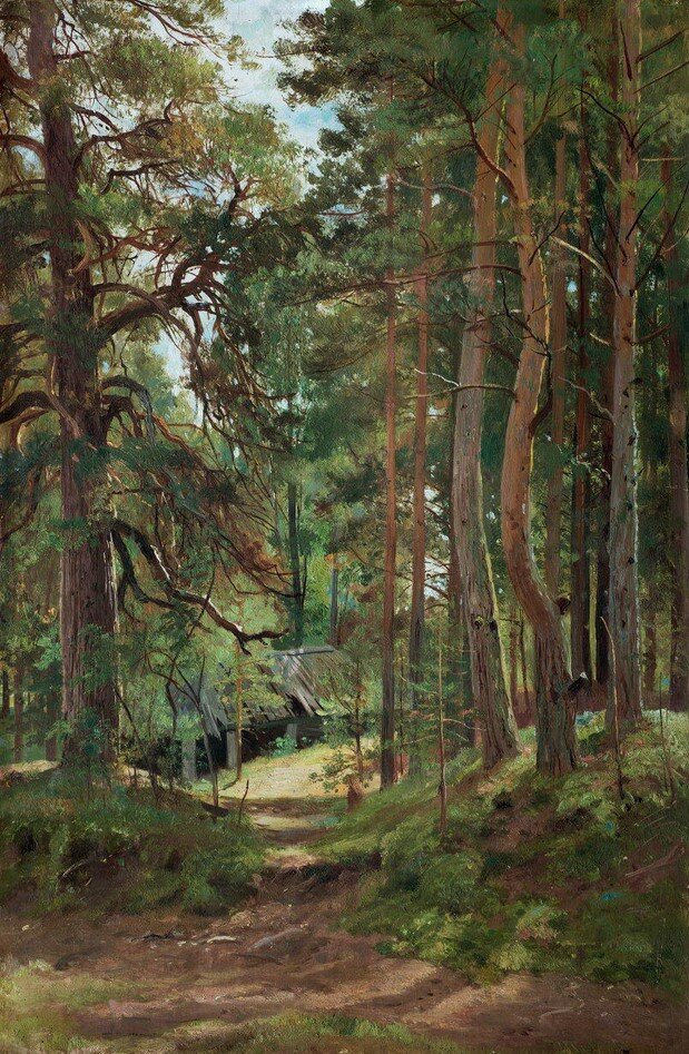 Сосновый лес. 1890 год. Иван Шишкин. 