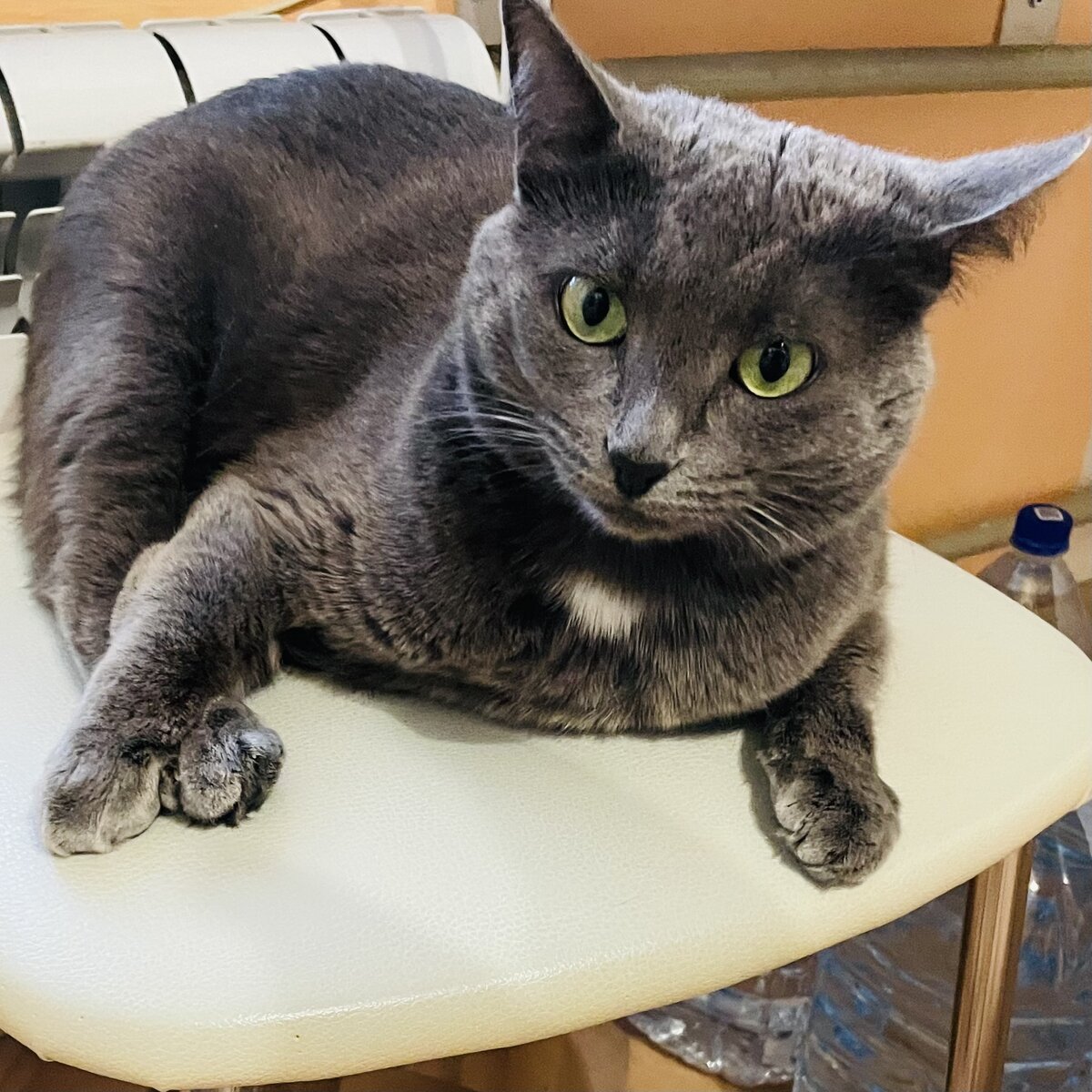 Кого хочешь напугаю, как все сделать, я-то знаю