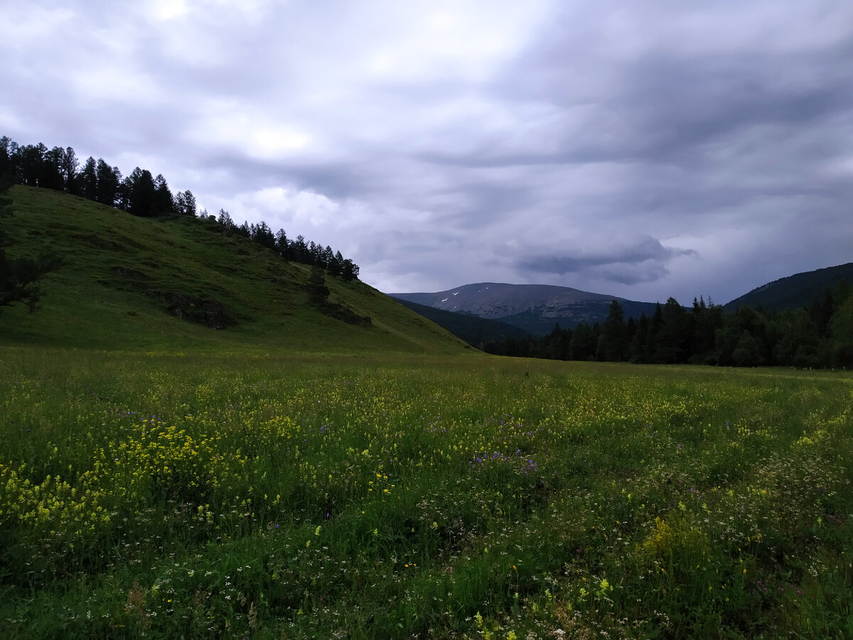 🌲Куда сходить в поход выходного дня на Алтае? Гора Сарлык и Туюкские  озера. Поход с собакой в горы | Тайга и Горы🌲 | Дзен