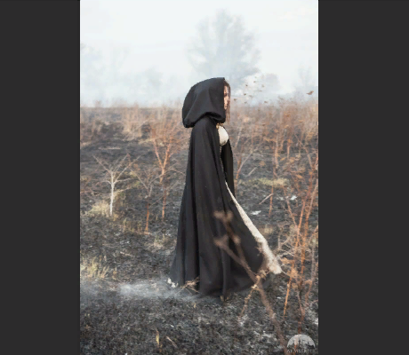 Взято из свободных источников. 