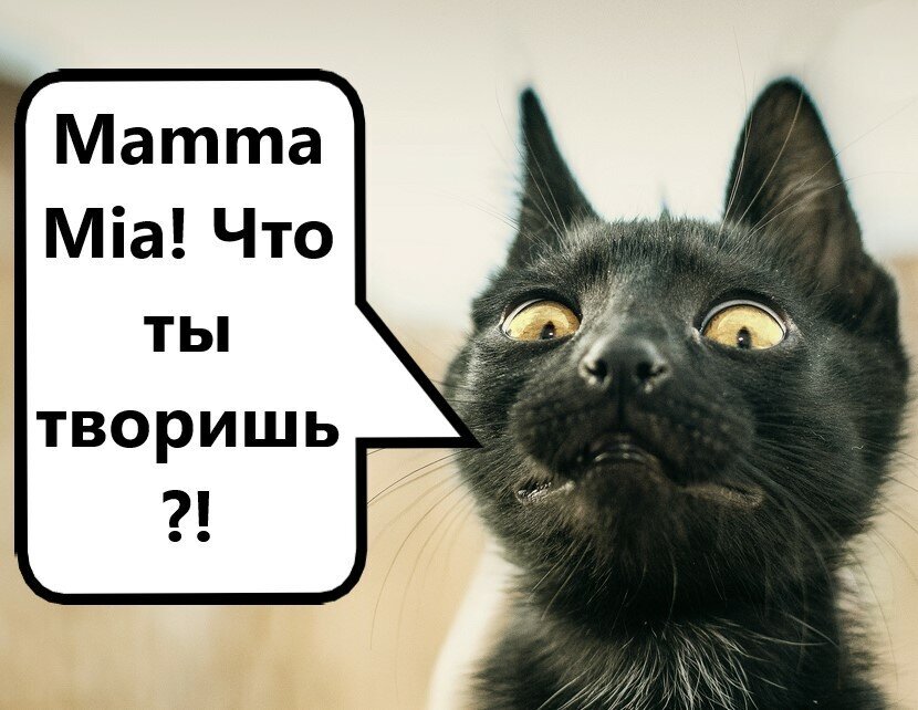 Добавьте описание