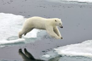    Фото: iStock Анжела Абраменко