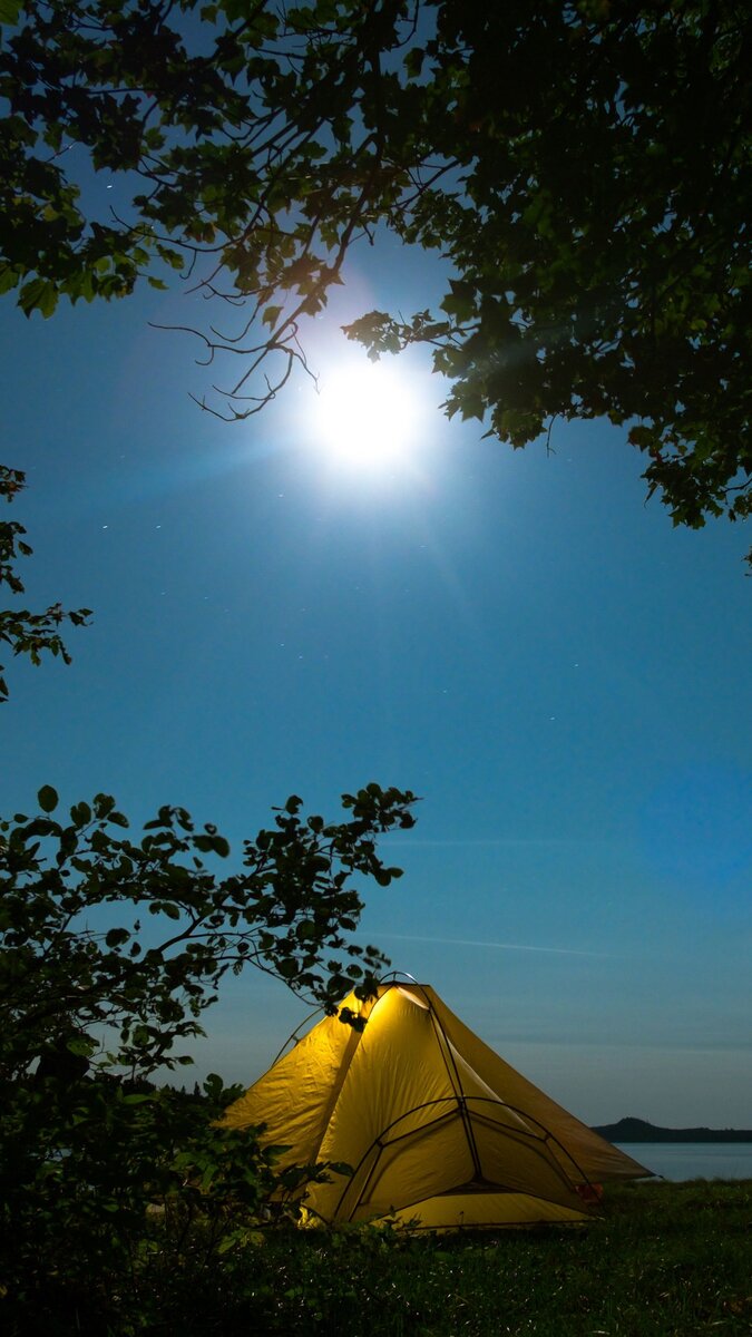 С сервиса vsegda-pomnim.com