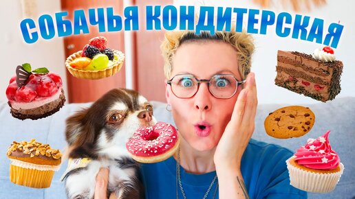 Tải video: ВПЕРВЫЕ пробуем собачьи СЛАДОСТИ! РЕАКЦИЯ СОБАКИ на десерты из кафе для собак и арахисовую пасту