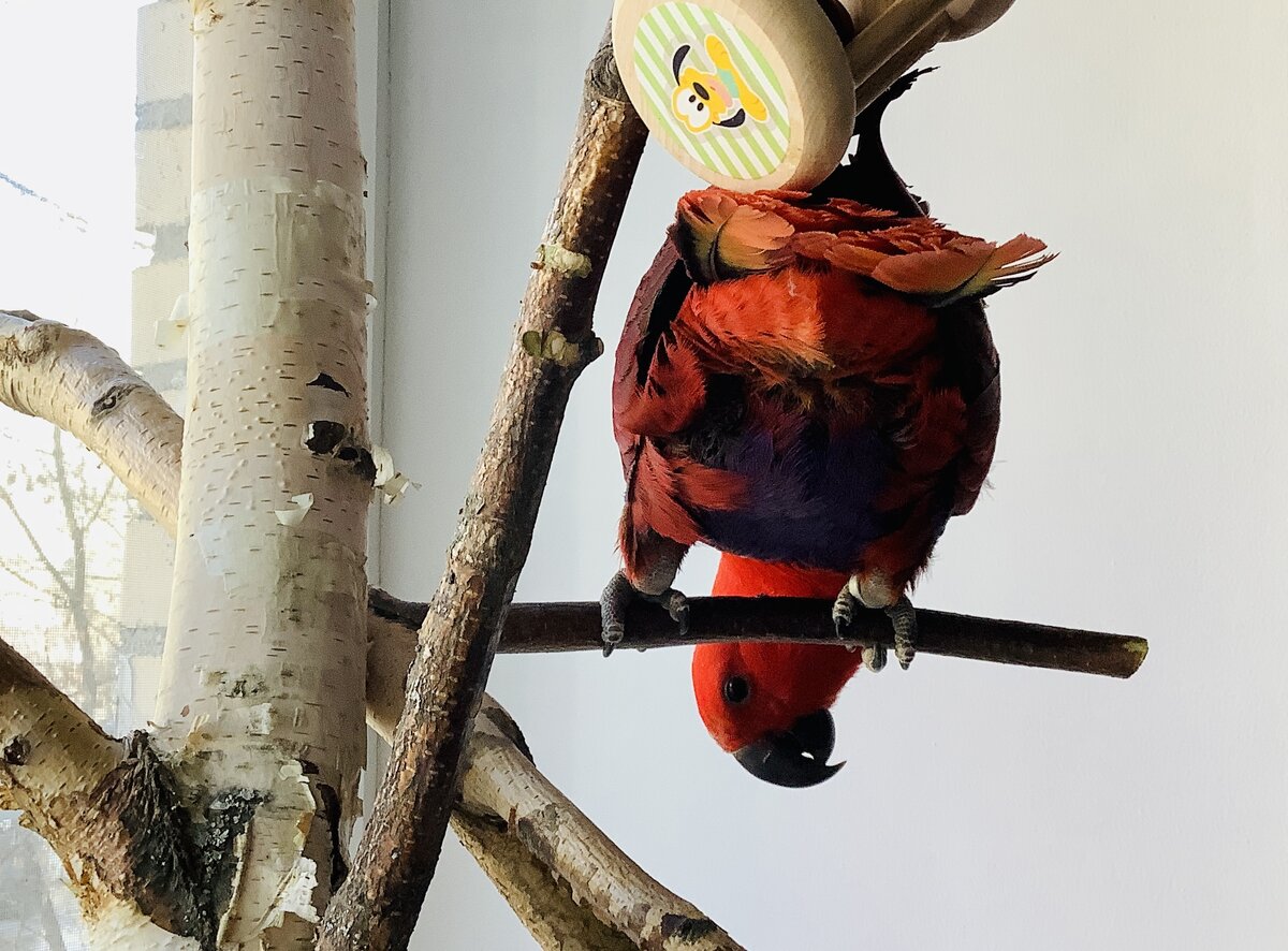 Кому я должен, тем прощаю! Фото автора