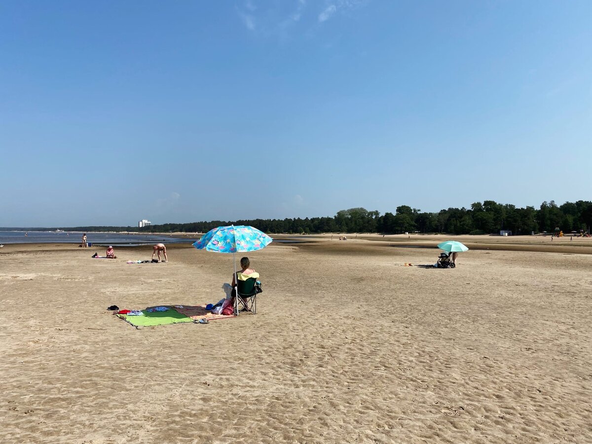 Allegro Park" в Санкт-Петербурге: фотографии, цены на дома от застройщика Стройк