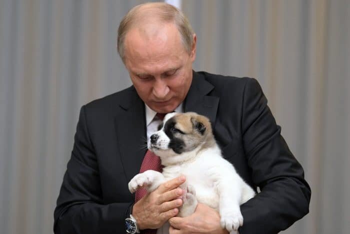 Фото пресс-службы президента России.