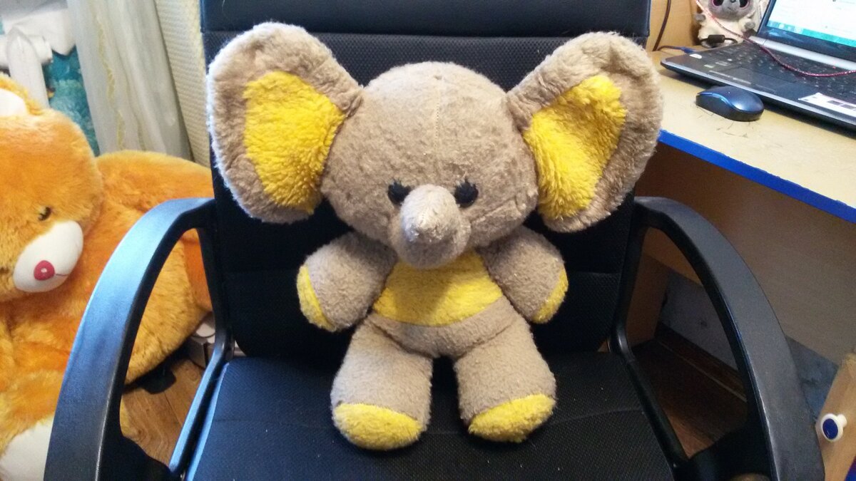 Тот самый слонёнок, который ищет новый дом )