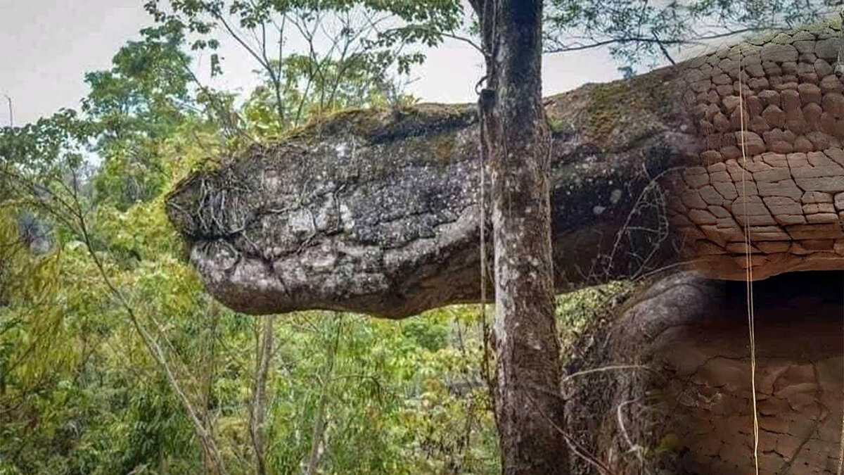 пещера висячих змей. пещера нака окаменевшая змея. гигантская каменная змея тайланд. пещера найка окаменевшая змея. гигантская каменная змея тайланд.