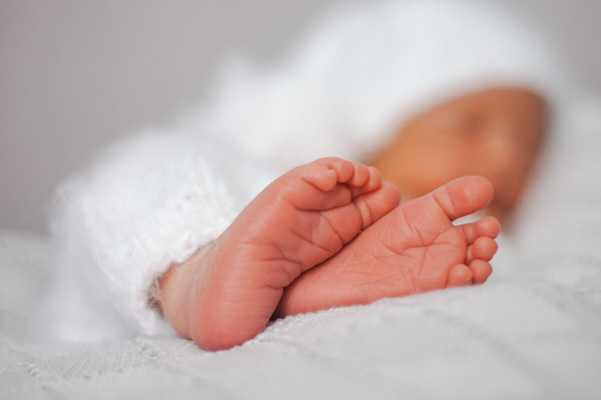 Наш Оливер. Фото личный архив. 