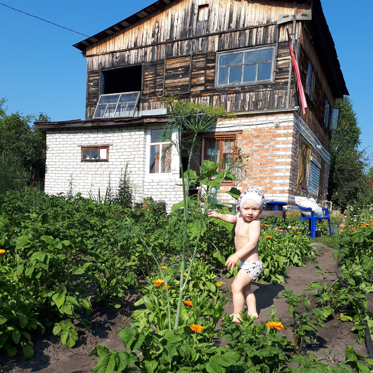 Та самая родительская дачка