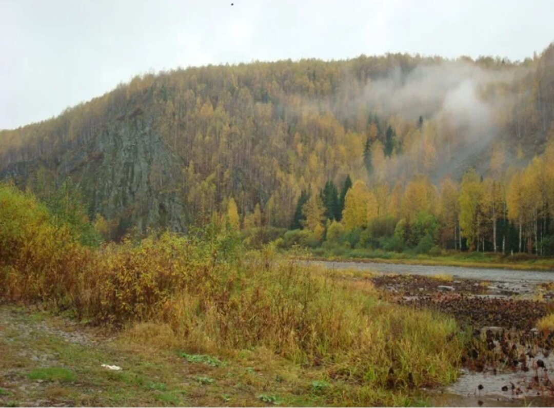 Из свободных источников