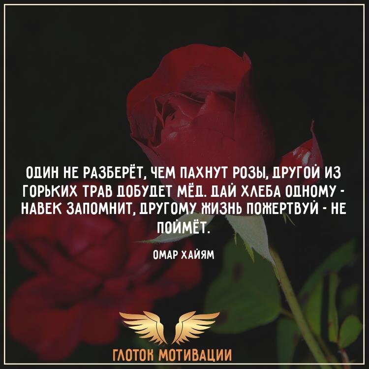 „О нас думают плохо лишь те, кто хуже нас, а те кто лучше нас… Им просто не до нас…“