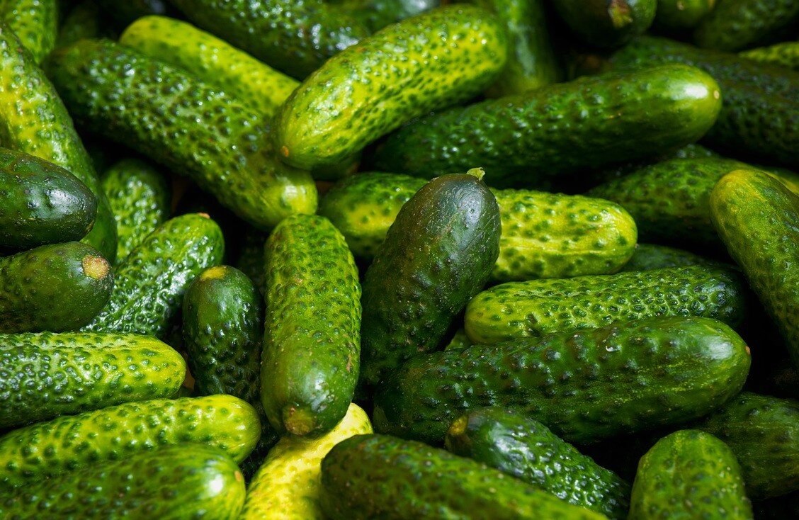 Огурцы