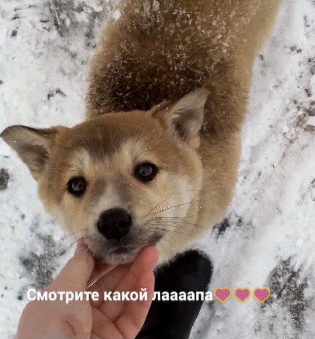 Фото из личного архива автора.