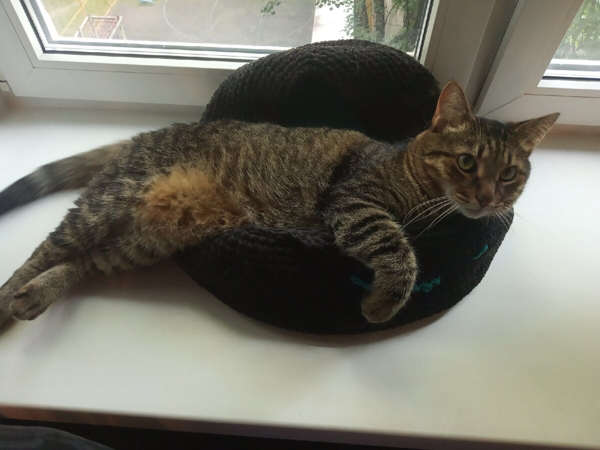 У Ёса свое представление о том, как тут нужно спать