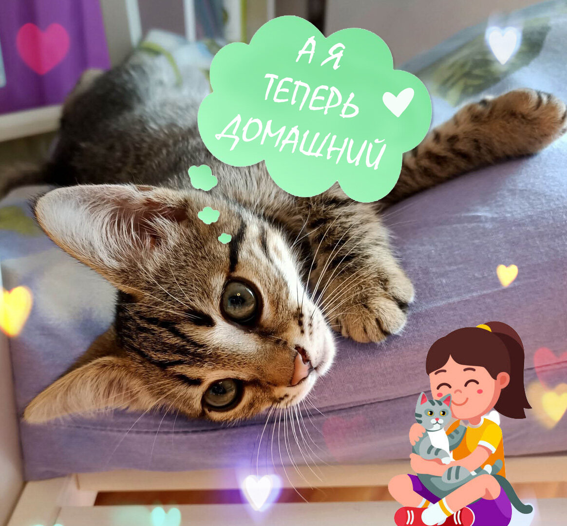 Стёпушка обрёл дом и любящих хозяев! 💜 