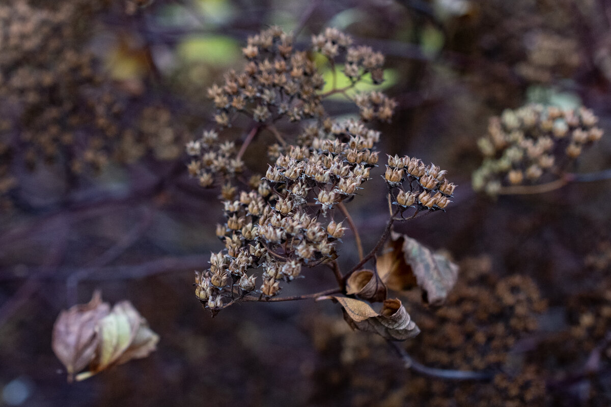 Холодные тона и сухие листья: если у обиды есть свой сезон, то это точно поздняя осень