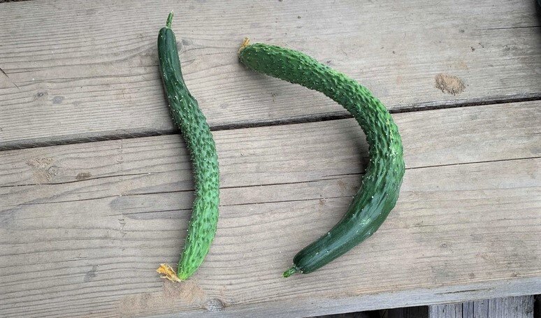 Фото из личного архива.