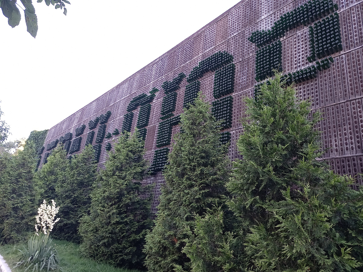 Стена выложена из бутылок шампанского