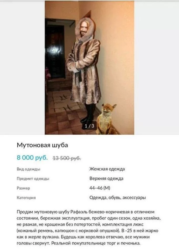 Веселые картинки авито