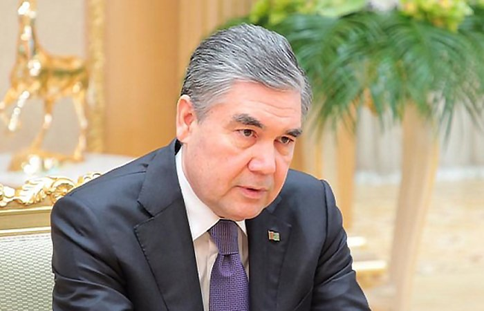 Источник фото: gov.spb.ru