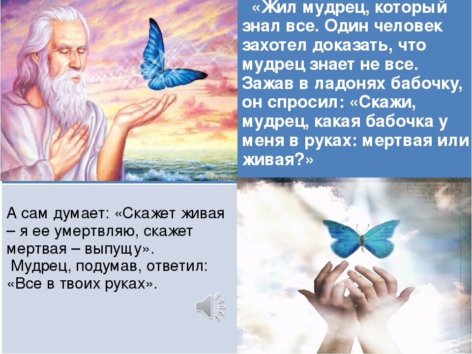 Притча все в твоих руках. Притча: жил мудрец. Притча жил мудрец который знал все. Мудрец и бабочка. Притчи о людях которые все знают.