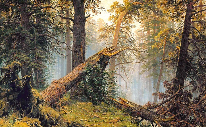 Картина шишкина утро в лесу фото
