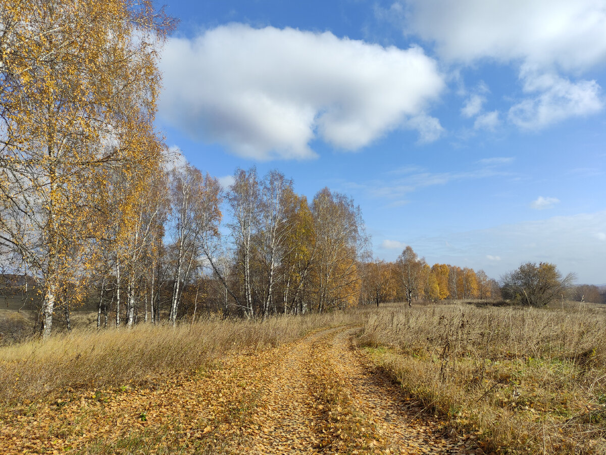 Холм меж двух оврагов