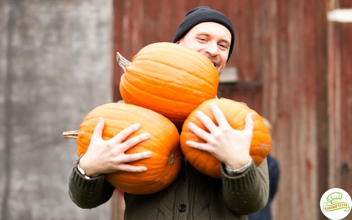 Пример хорошей, спелой и молодой тыквы