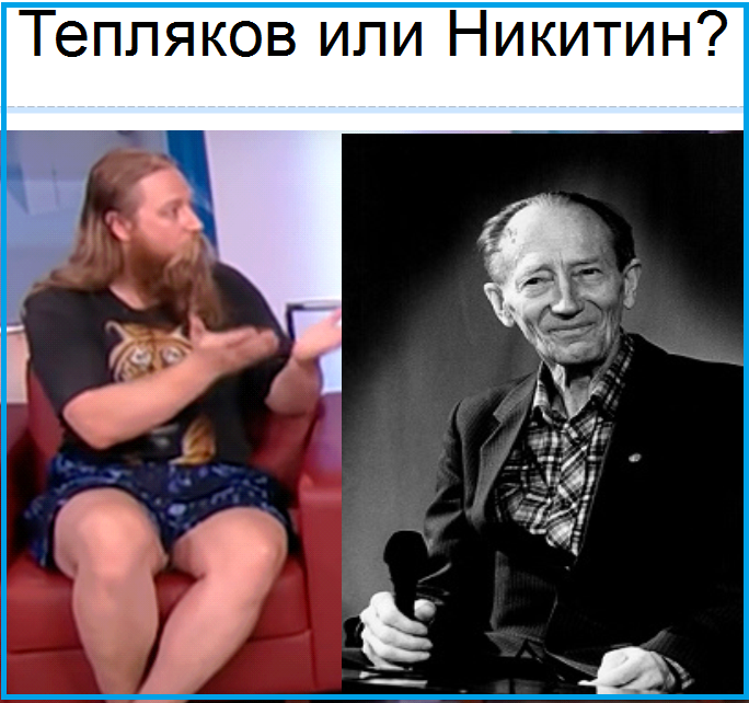 Так Тепляков или Никитин?