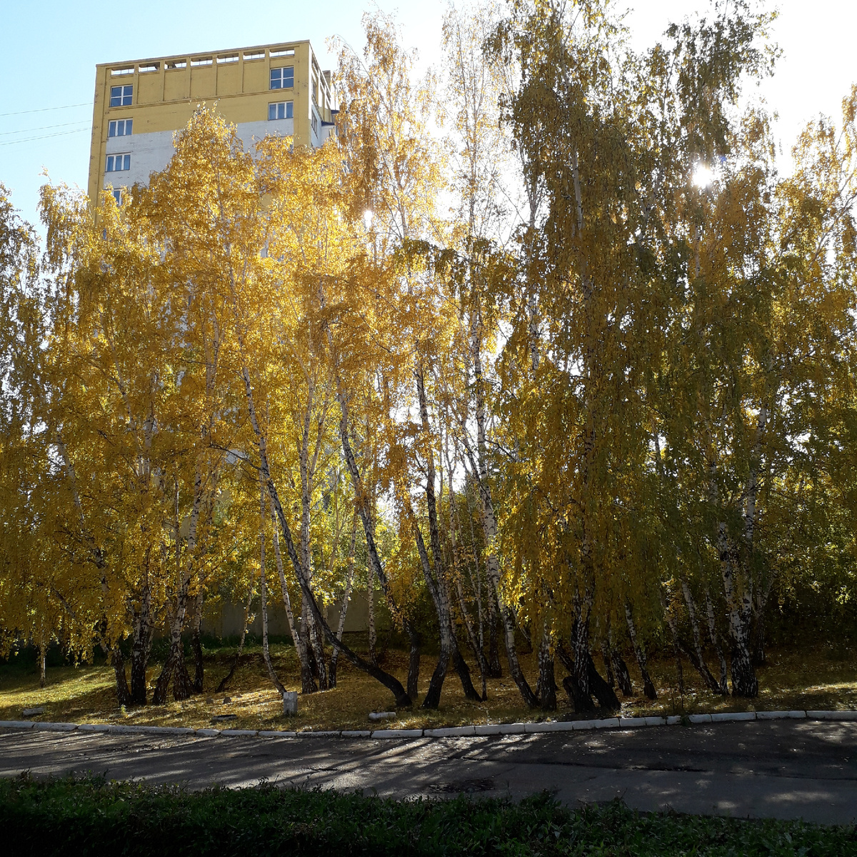 местечко  где я люблю гулять в любое время года,особенно осенью