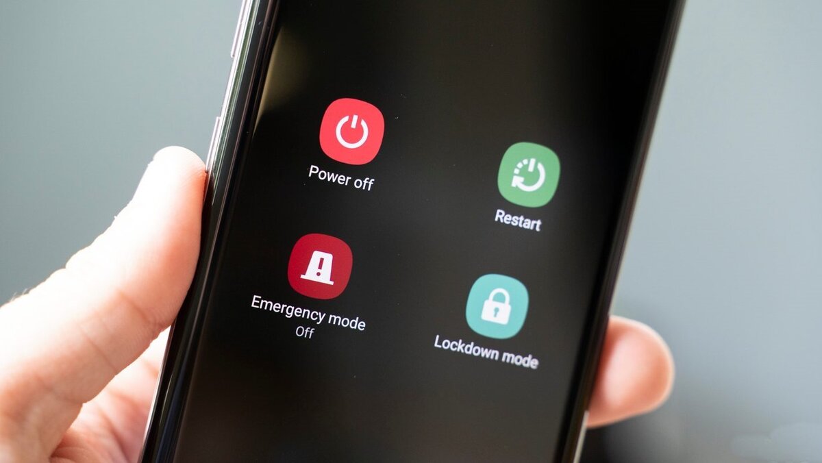 фото из свободных источников