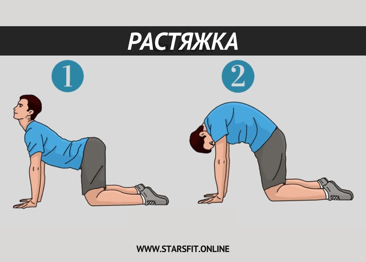 Утренняя зарядка для спины | STARSFIT | Дзен